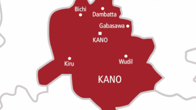 Fire Razes 50 Shops In Kano Market
