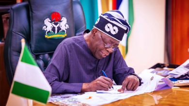 President Bola Tinubu has approved the appointment of The Infrastructure Corporation of Nigeria (InfraCorp) as the Lead Arranger and Developer of Evergreen City,