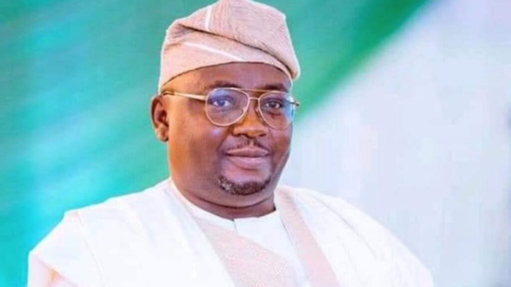 The Minister of Power, Adebayo Adelabu