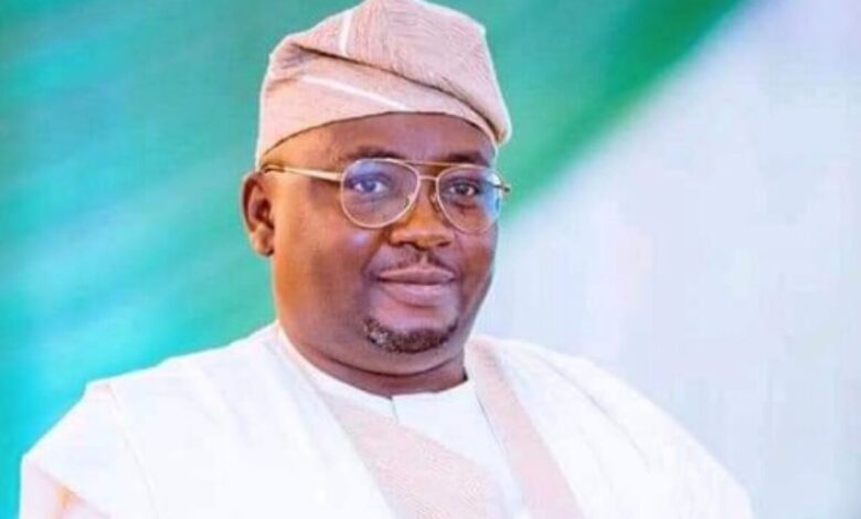 The Minister of Power, Adebayo Adelabu