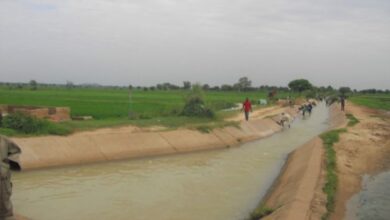 Nigeria to rehabilitate dams to boost food security, flood control