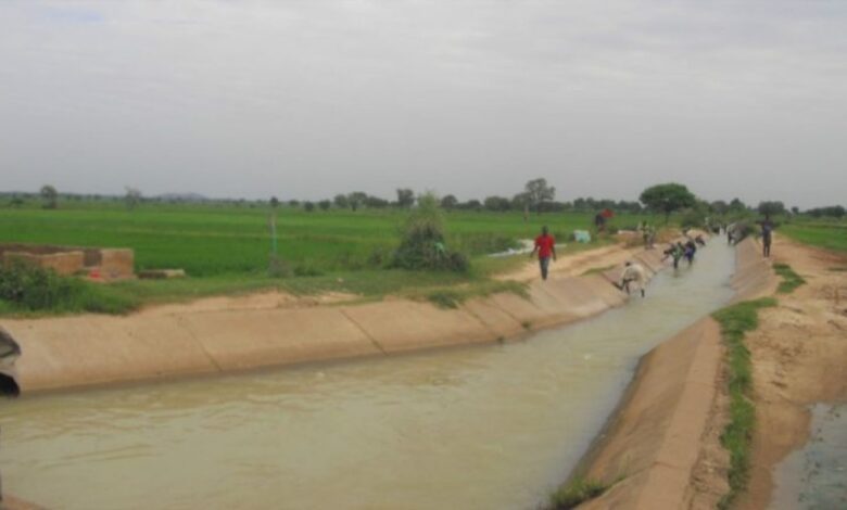 Nigeria to rehabilitate dams to boost food security, flood control