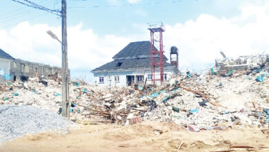 Residents of Amuwo Odofin Local Government Area in Lagos State are faced with the daunting task of finding shelter after their homes were demolished by the Federal Housing Authority (FHA) on November 22.